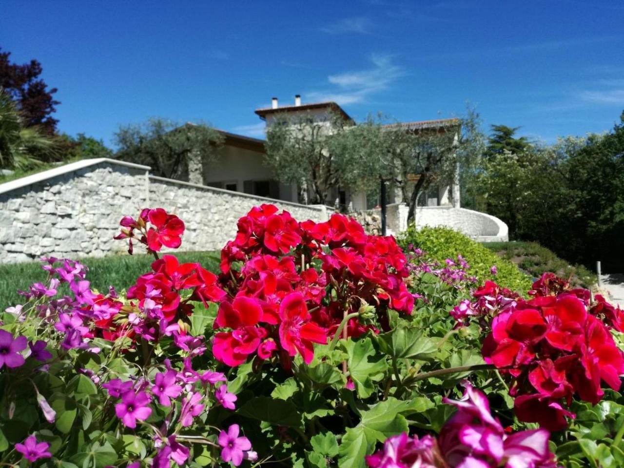 Relais Colle San Giorgio Bed and Breakfast Bardolino Eksteriør billede